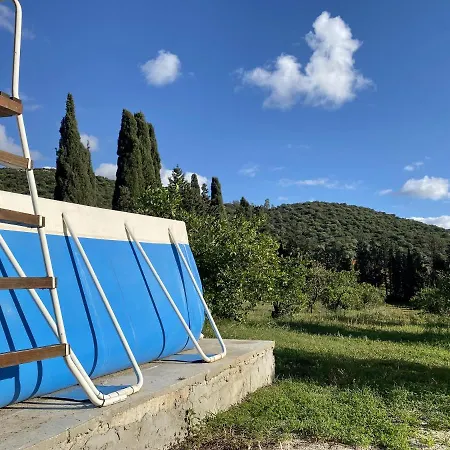 Campsite Olive Tent - In Our Garden Capitana