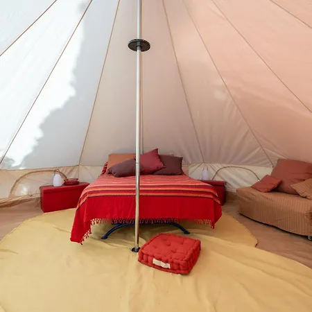Olive Tent - In Our Garden