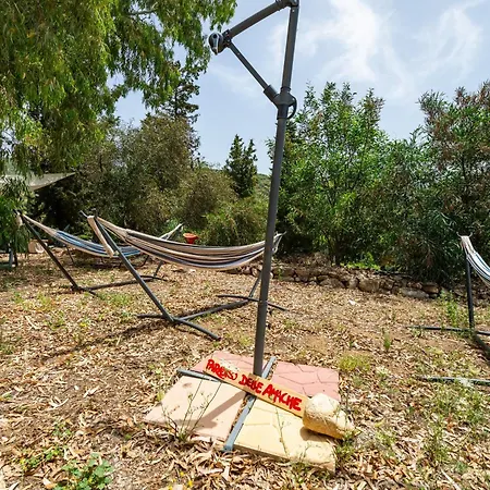 Olive Tent - In Our Garden Capitana