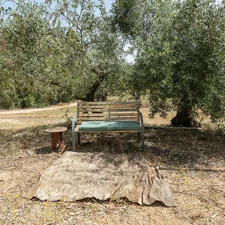 Campsite Olive Tent - In Our Garden