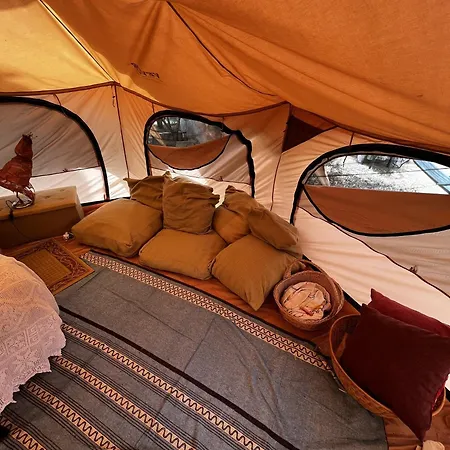 Olive Tent - In Our Garden *