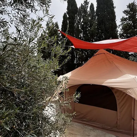 Olive Tent - In Our Garden Campsite