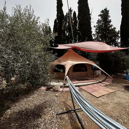Olive Tent - In Our Garden * Capitana