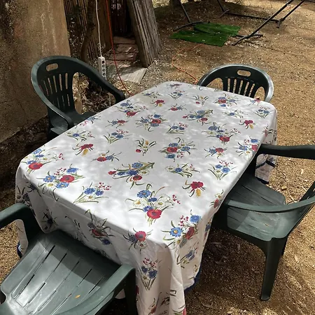 Campsite Olive Tent - In Our Garden