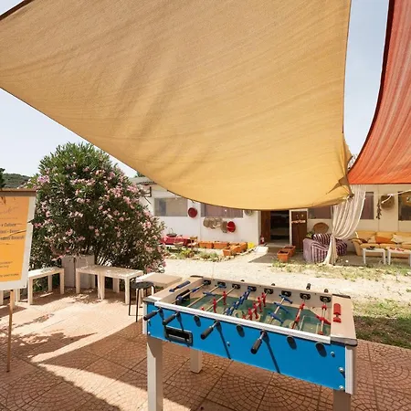 Campingplads Olive Tent - In Our Garden Capitana