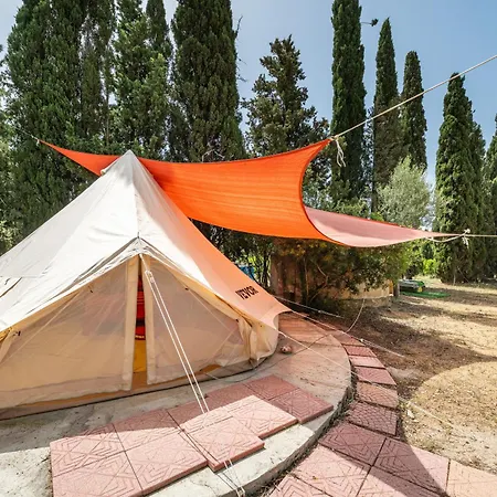Olive Tent - In Our Garden Capitana