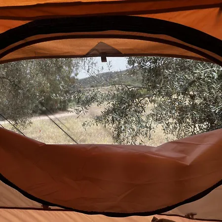 Campingplads Olive Tent - In Our Garden Capitana